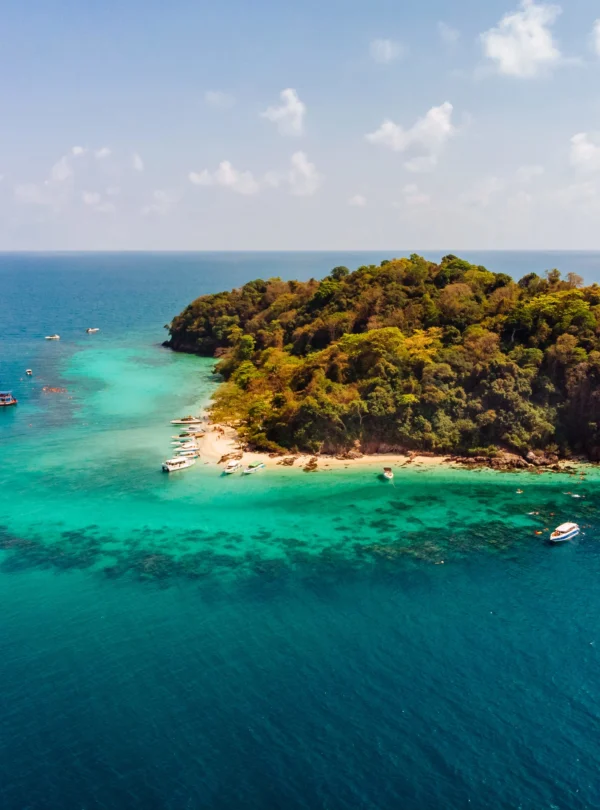 Coral Island