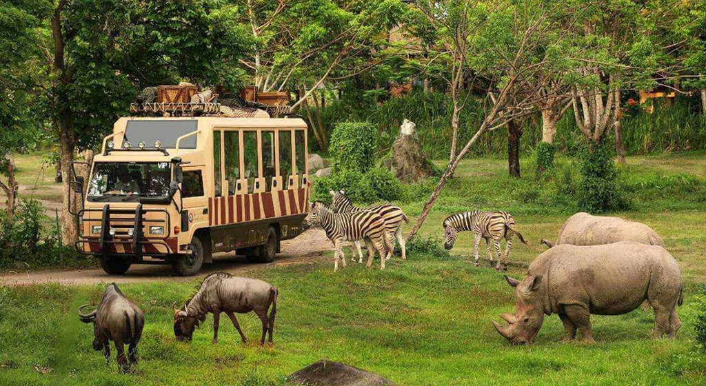 Bali Escape 8 Nights of Paradise