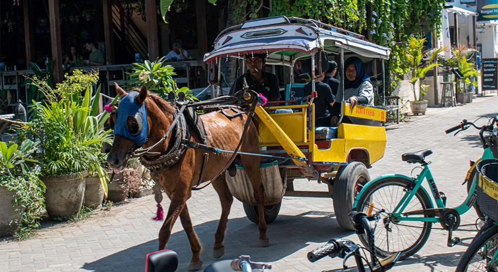Bali Bliss 10 Nights Island Discovery & Adventure Tour
