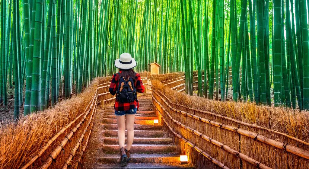 Best of Japan – 7 Nights / 8 Days
