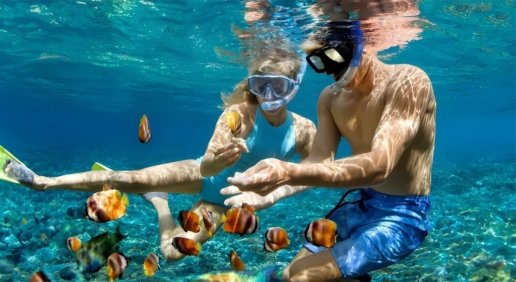 Seychelles Escape: Praslin, La Digue & Mahé Island Experience