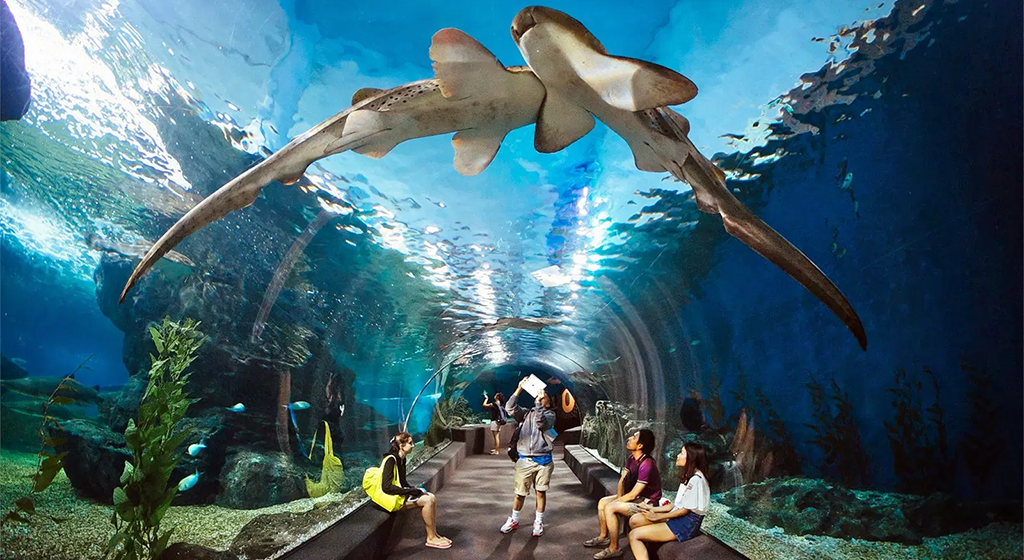 Pattaya Delight Getaway – 3 Nights / 4 Days