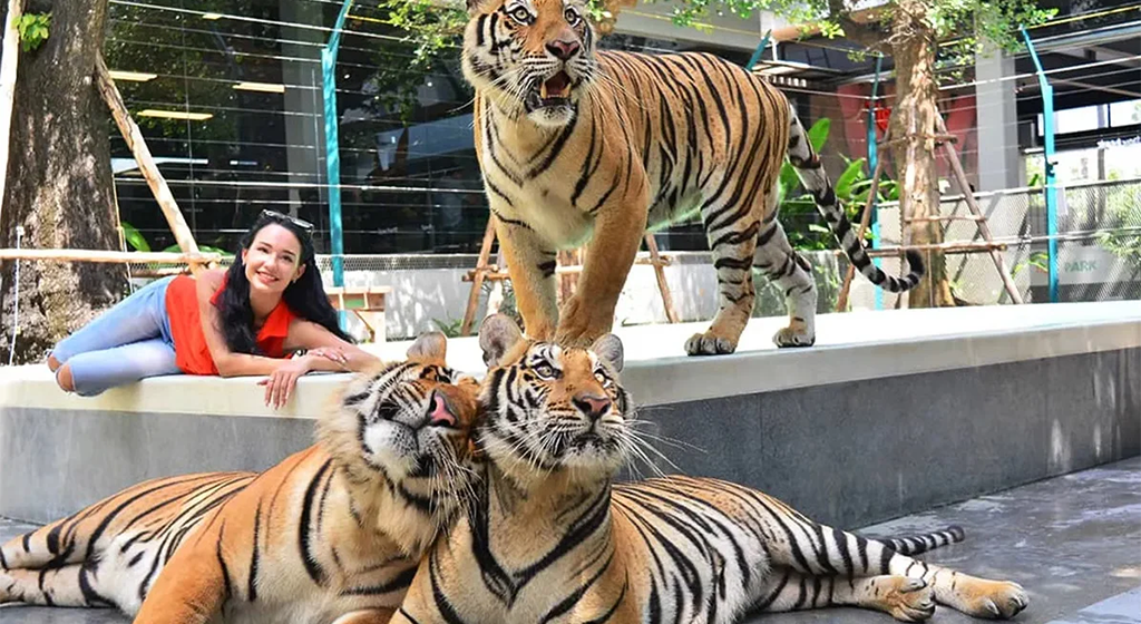 Pattaya Delight Getaway – 3 Nights / 4 Days