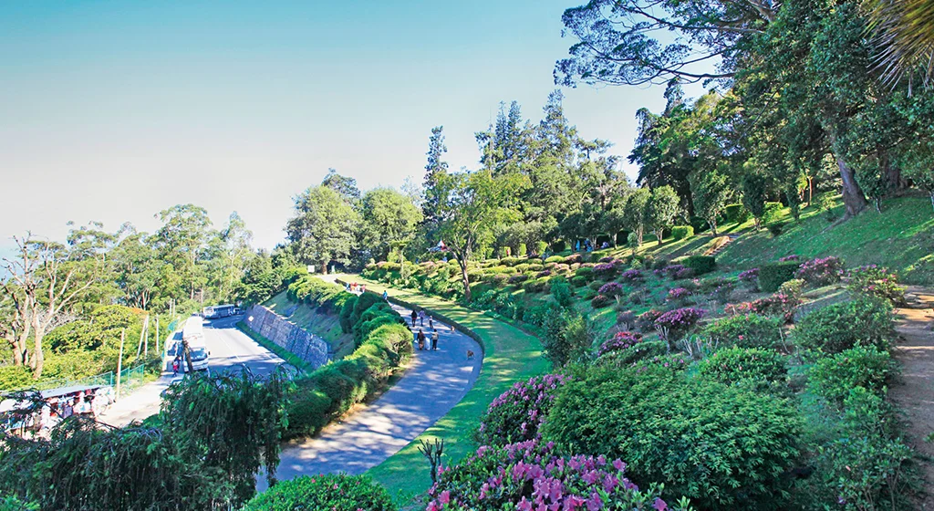 Scenic Sri Lanka Discovery