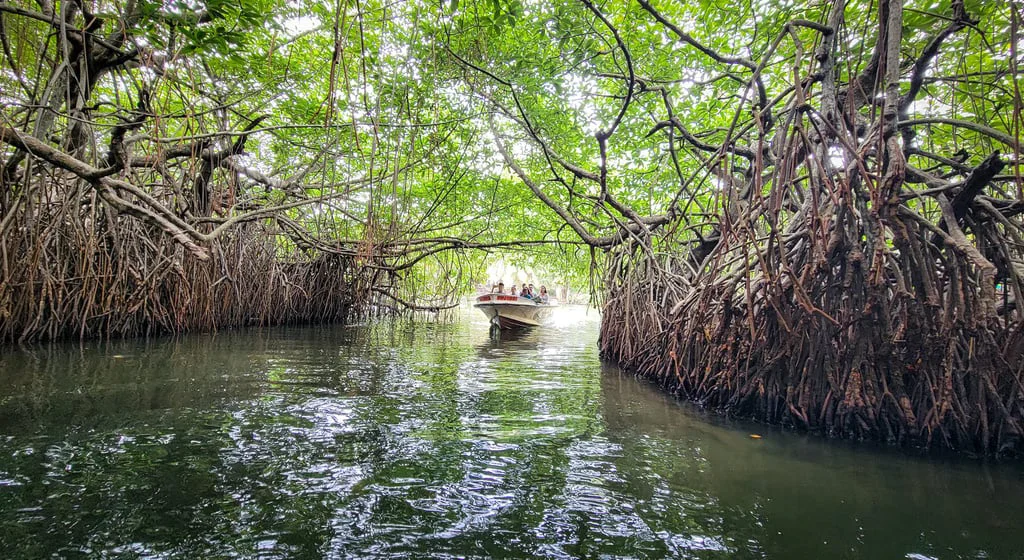 Scenic Sri Lanka Discovery