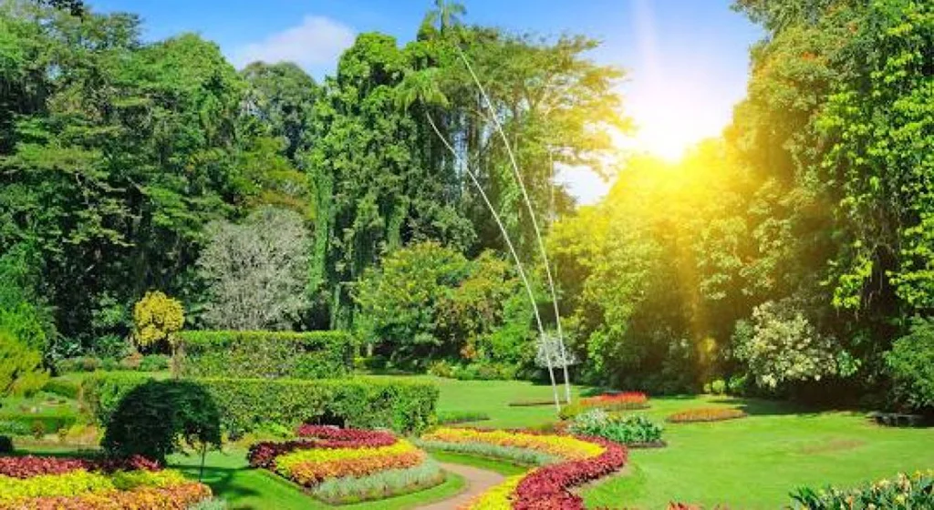 Scenic Sri Lanka Discovery