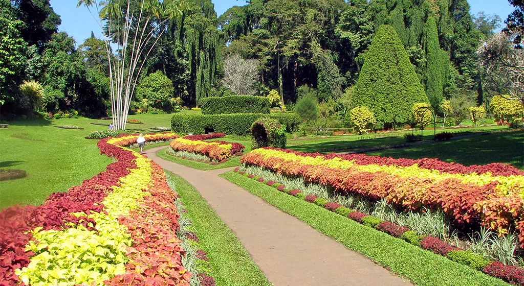 Scenic Sri Lanka Discovery