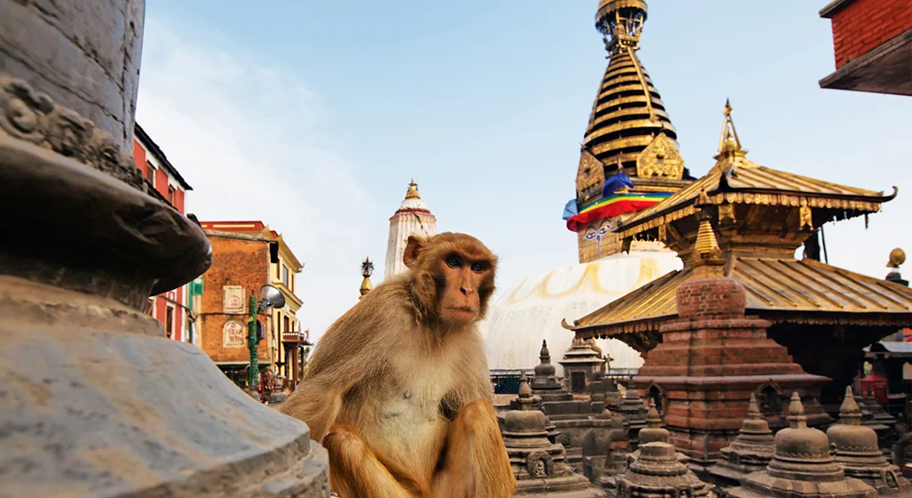 Nepal Tour – 4 Days / 3 Nights
